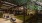 a backyard with a hammock and trees
