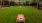 a corn hole game on a lawn